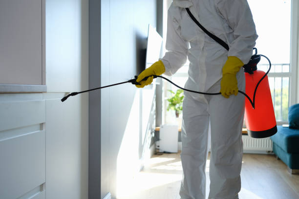 Best Mold Removal Company Near Me  in Grant, MI